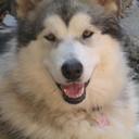 mark redford - @mark_redford123 - Twitter