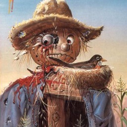 I'm a scarecrow, Follow Me!!!!