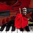 Abby Delk - @Valley_Ginger - Twitter