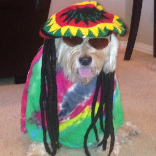 G_WB's profile picture. 