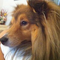 yasmine Tamadon (@yasminetamadon) 's Twitter Profile