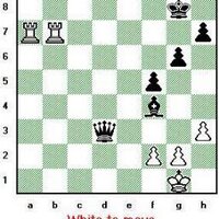 Wilson's Chess (@wilsonschess) 's Twitter Profile