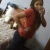 Euu Nauun Precisoo dee Ningueen a Naoo Seeer Deus ,, Seem Elee Naunn Souu Nadaa ! 3