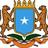 SOMALI   GOVERMENT
