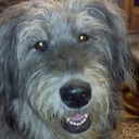 Dan Eller - @v9lespaul - Twitter