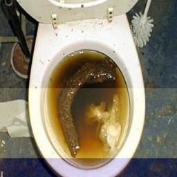 SACANDO A MERDA DA XENTE DE LALIN E SE NON VOS GUSTA UN BICO NO CÚ