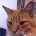 Daniel Hillis - @DanielEHillis - Twitter