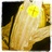 KristerBorge's profile image