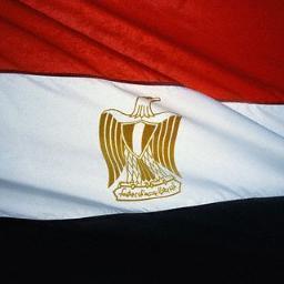 myarabdadstexts's profile picture. 