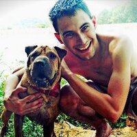Tomislav Šeremet (@tomislavfree) 's Twitter Profile