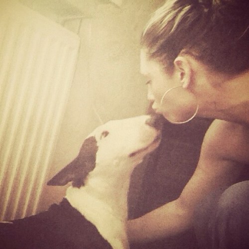 EfkeTjan's profile picture. 