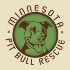 pitbull puppies mn mn pit bull rescue mnpitbullrescue pitbull puppies mn mn pit bull rescue mnpitbullrescue