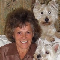 Ellen Langer (@ellenjl) 's Twitter Profile