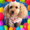 HAPPY★はっぴっぴ (@11HAPPY3) Twitter