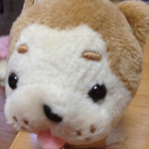 子育てが楽しくなる 赤ちゃん手話 都心では雪が降り続いています T Co Q7yvbu1z2o Jugem Blog