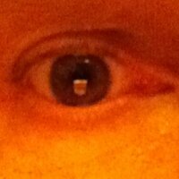 TIM FOLJAHN (@timfoljahn) 's Twitter Profile