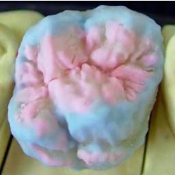 Perladent3's profile picture. Laboratorio Dental de Prótesis Fija