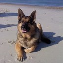 AnnBowesShaughnessy - @AnnBowesShaughn - Twitter