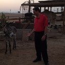 Fran Roach - @RoachFran - Twitter