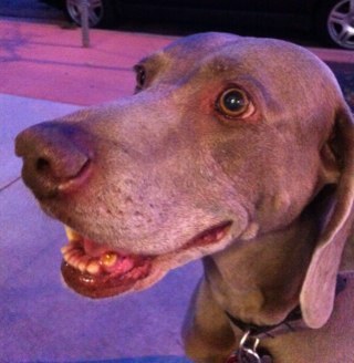 denverhawkeyes's profile picture. 