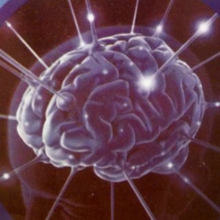 Neurofeedback es la mejor forma de modificar la estuctura y funcion del cerebro