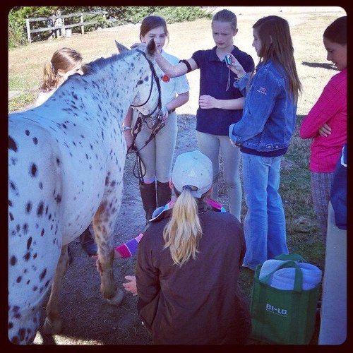 PonyClubProbs's profile picture. Pony Club and the problems that goes with it. PCers aren't the backyard kids people think. Horse and life related tweets. #Eventer #OTTB #Area2 #CapitalRegion