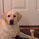 tim driver - @timdriver2 - Twitter