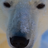 Jeremy Patrick (@jeremyindie) 's Twitter Profile Photo