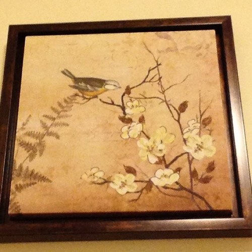 kclorenc's profile picture. 