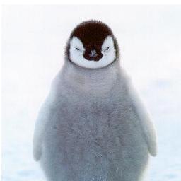 theCaffyy's profile picture. 