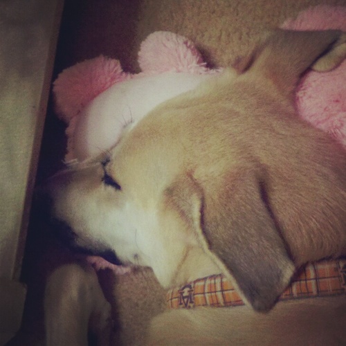 courtpaige2's profile picture. WDE