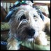 Stacey Burton (@staceycburton) Twitter profile photo