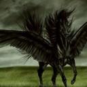 sam kraft - @samkraft2 - Twitter