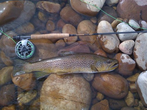 scope309's profile picture. Perfection is not attainable, but if we chase perfection, we can catch excellence. – Vince Lombardi