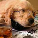 adrian ramon oberti - @adrianob2011 - Twitter