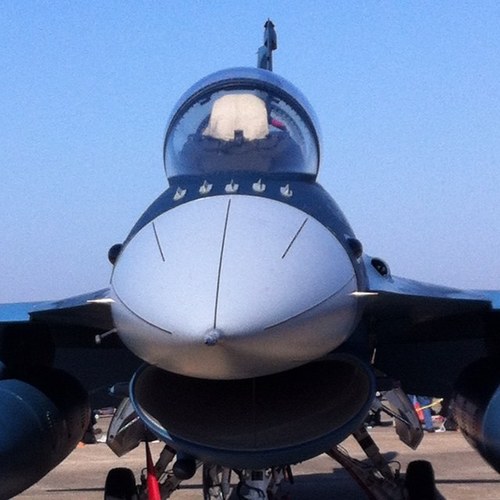 画像は航空祭で見た三菱のF-2。アップだとジンベエみたい。軍事系知りません。飛行機かっこいいなというレベル。中年。最近老眼の噂あり。