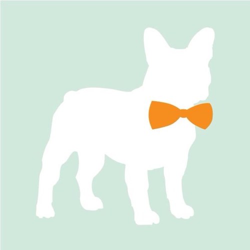 We provide the most hip and up-to-date information for your French Bulldog. http://t.co/eoIjD8tNHx