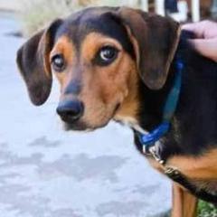 AggiePocket's profile picture. Just arrived in town ... wow, I think I ended up in PARADISE!