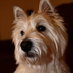 SuckaB's profile picture. Munch munch~