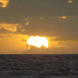 Elverina_yarri's profile picture. No More Crumbs