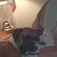 tammy denmyer (@tammydenmyer) 's Twitter Profile