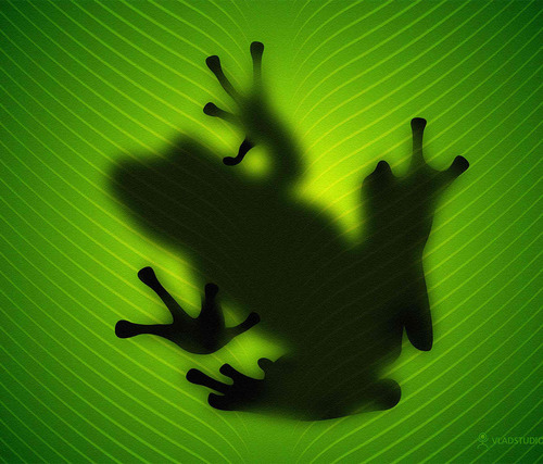 9ooyan's profile picture. Δ/t