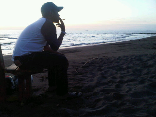 ipulauroracomm's profile picture. 