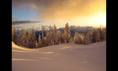 A great place to be
