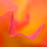 RW ❏ IMAGES | FINE ART PHOTOGRAPHY GALLERIES (@robertwojtowicz) 's Twitter Profile Photo RW ❏ IMAGES | FINE ART PHOTOGRAPHY GALLERIES (@robertwojtowicz) 's Twitter Profile Photo