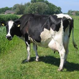 DairyNewsDaily's profile picture. 