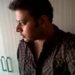 Independent Media Consultant