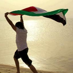 EssamAdlouni's profile picture. 