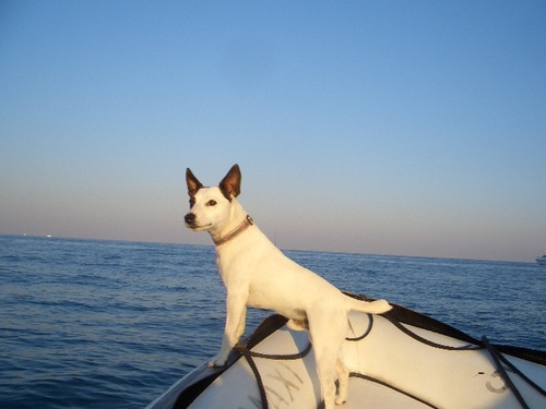 club55's profile picture. eccentric