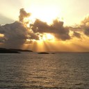 Lisa Pupa - @lisa_pupa - Twitter